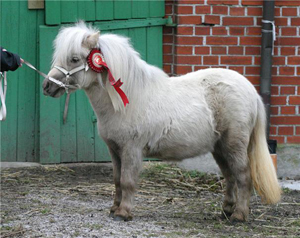lilja_of_northstar_frillesas09.jpg