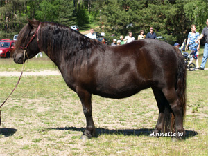 jenniefer_malmk09.jpg