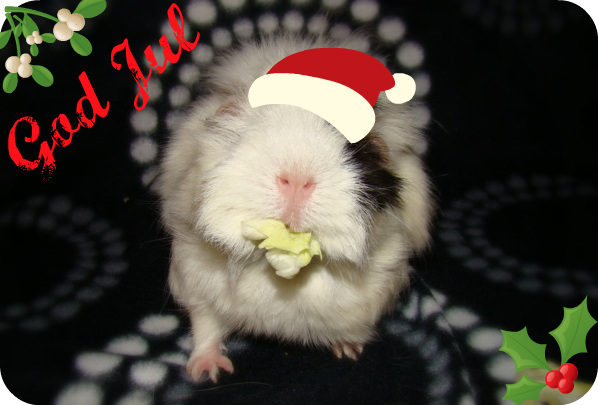 God Jul och gott nytt år!