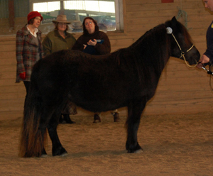 fairon_frillesas09.jpg