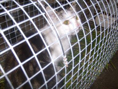 HPIM1677.JPG