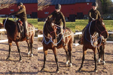 Neckreining - att styra hästen genom att lägga tygel/halsring mot hästens hals och låta häten gå undan för trycket