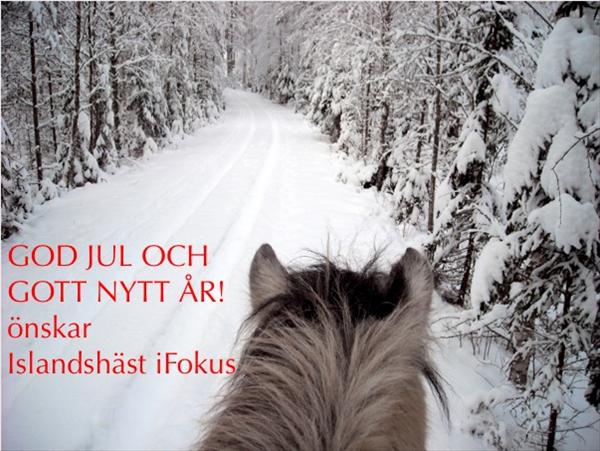 GodJul.jpg