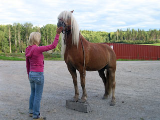 img1.jpg