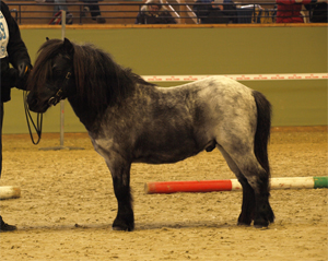 gant_of_northstar_hp09.jpg