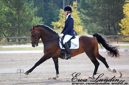Stackarps Peeron