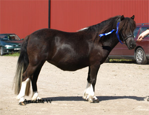 farjbackens_mitzy_fargelanda09.jpg