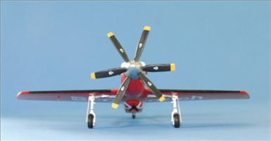 MAII1020.jpg