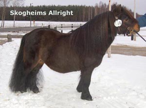skogheims_allright_norraasum09.jpg