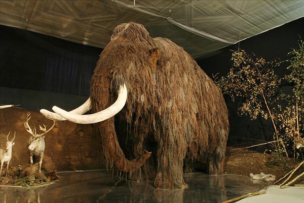 800px-Lovci_mamutu_mammoth.jpg