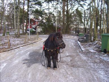 tusen0109.jpg