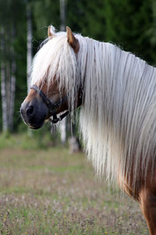 bild3.jpg