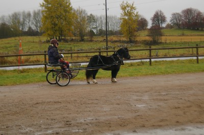imgp7750_79760047.jpg