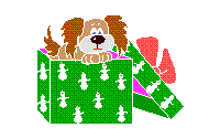 Dog_in_box.gif
