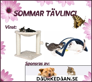 tavling.jpg