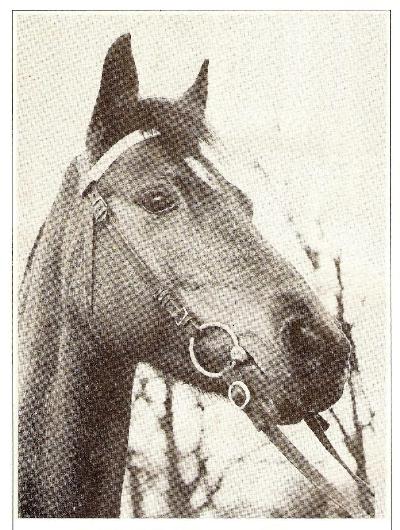 Minsann, f 1966 e Piquer u Pi