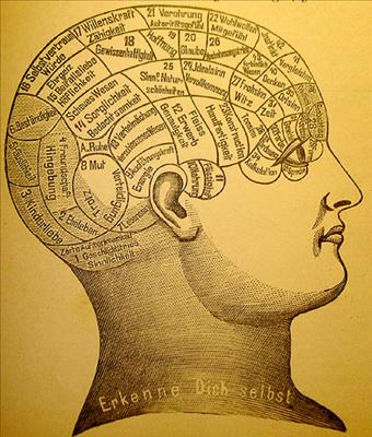 Phrenology1.jpg