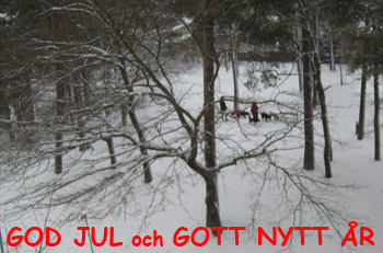 God jul och gott nytt år