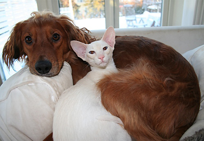 Reiki-och-Ezther.jpg