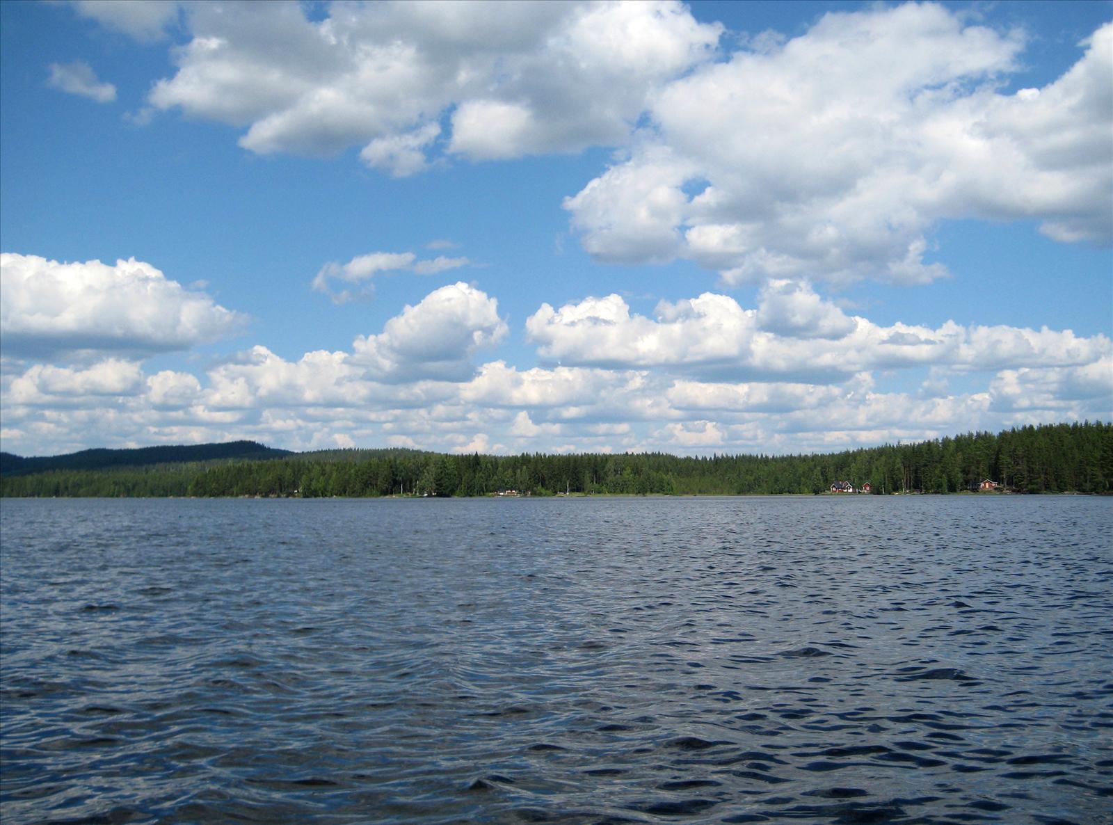 Sommarfrågesport