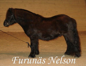 furunasnelson_frillesas09.jpg