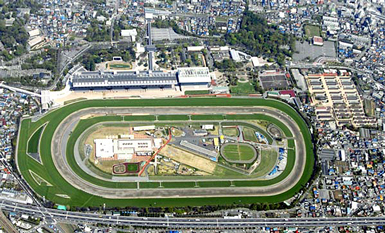 tokyo.jpg