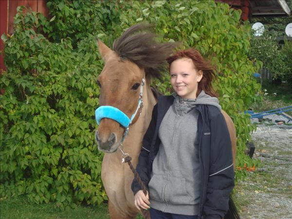 4Bild.JPG