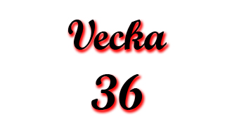 Vecka 36