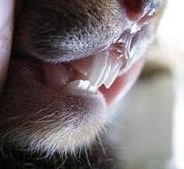 bettkorr.jpg