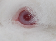 DSC_0164.png