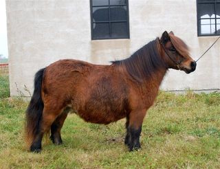DSC_0015.JPG