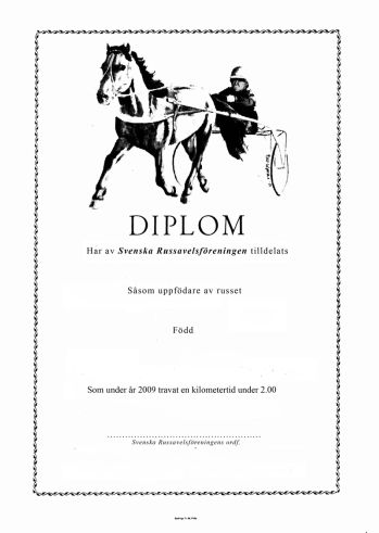 diplom.jpg