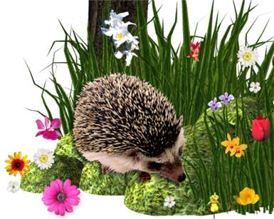 blomkotte.png
