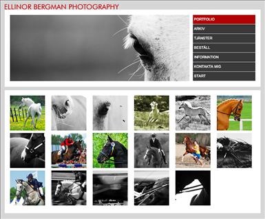portfolio2