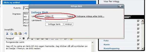 länk3.jpg