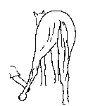 16.gif