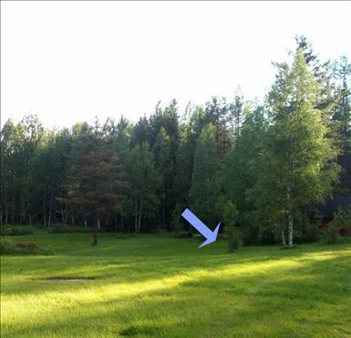 101_0063_copy.jpg