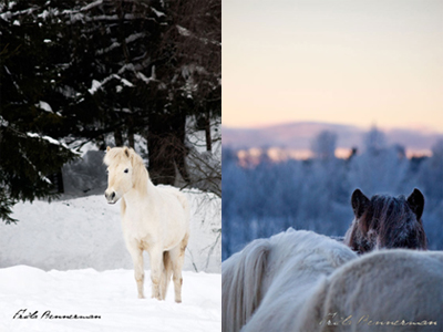 Bild 1 och 4 i ett till Fokus på: selfrejection