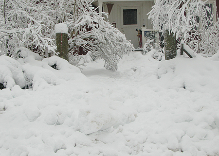 snövallen.jpg