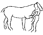 9.gif