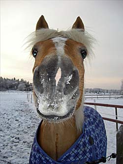 bild2.jpg