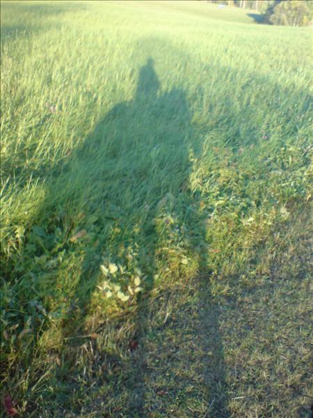 janicehöst09.JPG