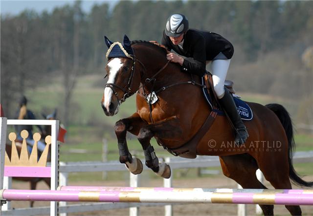 Tour of Amateurs i Falsterbo