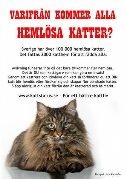 kattstatus.jpg