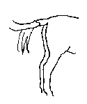 18.gif