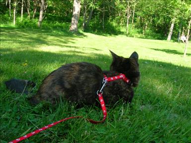 DSCN3271.JPG