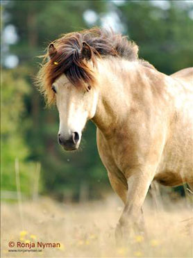bild-6.jpg
