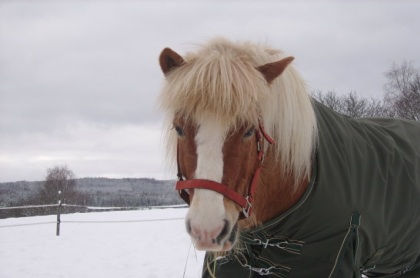 Bild1.jpg