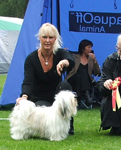 Isfolkets kennel