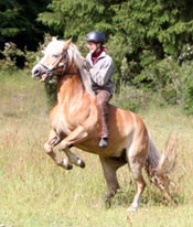 ronja.jpg